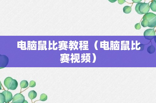 电脑鼠比赛教程（电脑鼠比赛视频）