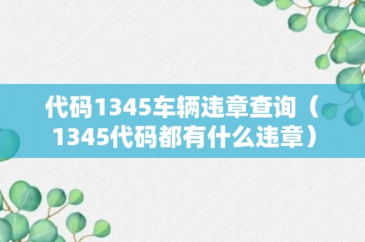 代码1345车辆违章查询（1345代码都有什么违章）