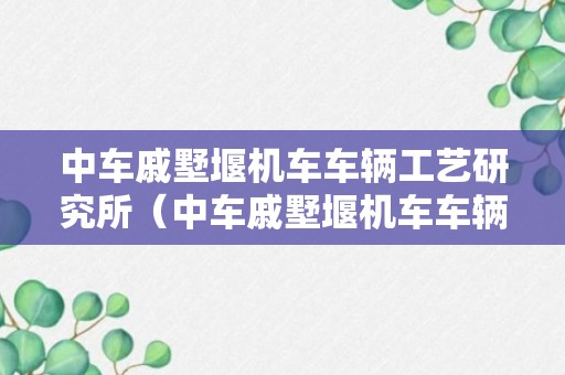 中车戚墅堰机车车辆工艺研究所（中车戚墅堰机车车辆工艺研究所有限公司待遇）