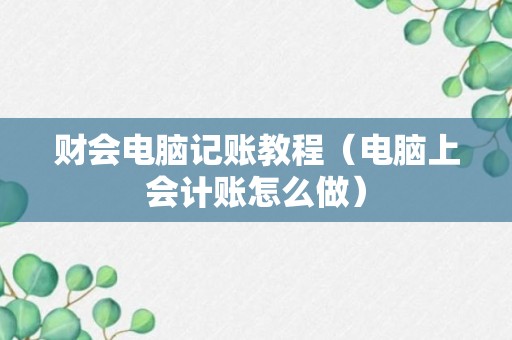 财会电脑记账教程（电脑上会计账怎么做）