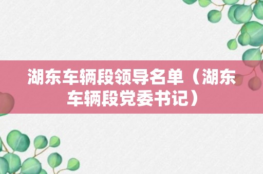 湖东车辆段领导名单（湖东车辆段党委书记）