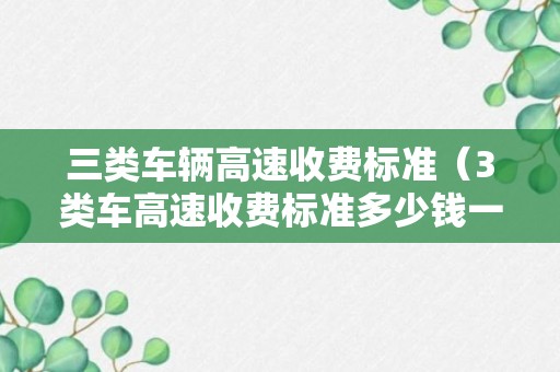 三类车辆高速收费标准（3类车高速收费标准多少钱一公里）