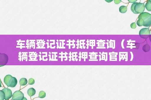 车辆登记证书抵押查询（车辆登记证书抵押查询官网）