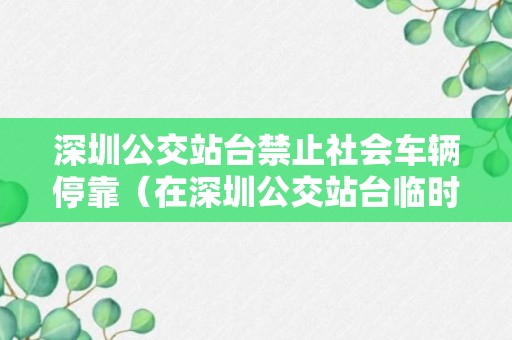 深圳公交站台禁止社会车辆停靠（在深圳公交站台临时停车上下客处罚吗）