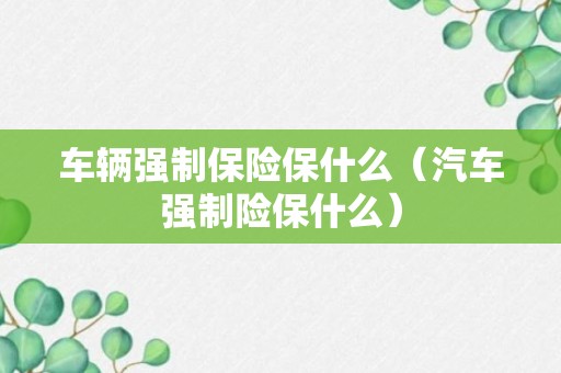 车辆强制保险保什么（汽车强制险保什么）