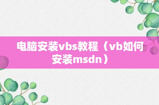 电脑安装vbs教程（vb如何安装msdn）