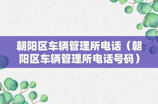 朝阳区车辆管理所电话（朝阳区车辆管理所电话号码）