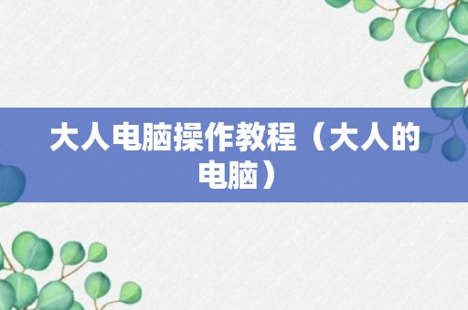 大人电脑操作教程（大人的电脑）