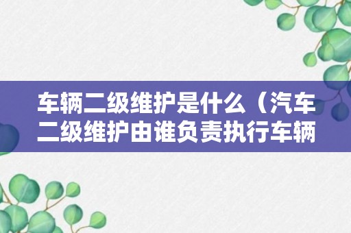 车辆二级维护是什么（汽车二级维护由谁负责执行车辆维护）