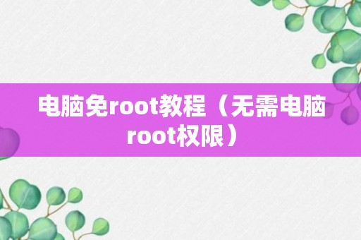 电脑免root教程（无需电脑root权限）