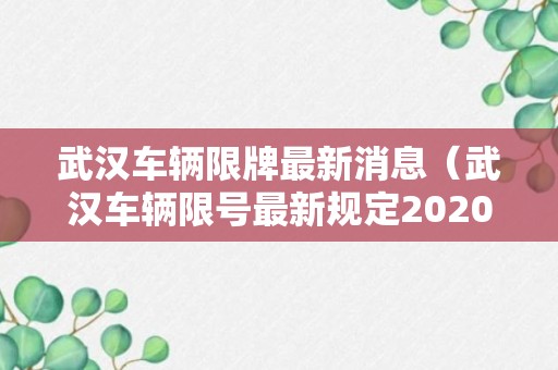 武汉车辆限牌最新消息（武汉车辆限号最新规定2020）