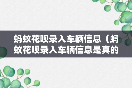 蚂蚁花呗录入车辆信息（蚂蚁花呗录入车辆信息是真的吗）