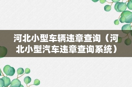 河北小型车辆违章查询（河北小型汽车违章查询系统）