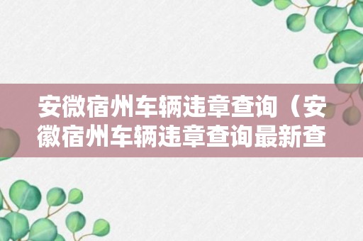 安微宿州车辆违章查询（安徽宿州车辆违章查询最新查询）