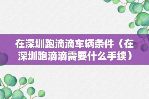 在深圳跑滴滴车辆条件（在深圳跑滴滴需要什么手续）