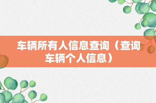 车辆所有人信息查询（查询车辆个人信息）