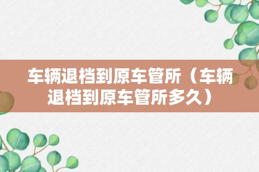 车辆退档到原车管所（车辆退档到原车管所多久）