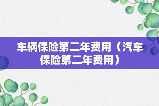 车辆保险第二年费用（汽车保险第二年费用）