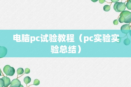 电脑pc试验教程（pc实验实验总结）