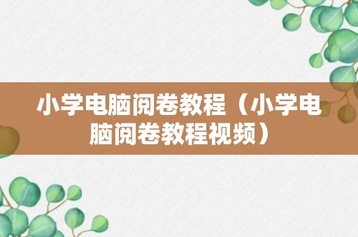 小学电脑阅卷教程（小学电脑阅卷教程视频）