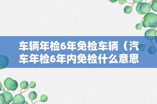 车辆年检6年免检车辆（汽车年检6年内免检什么意思）