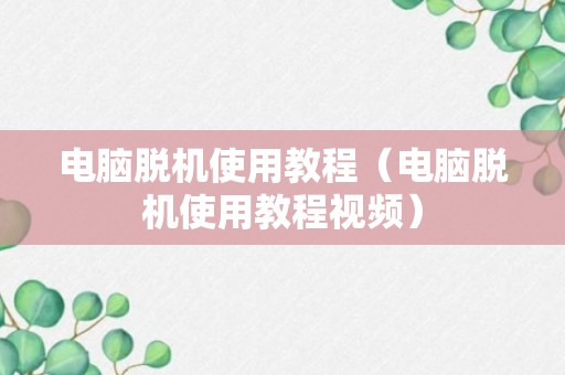 电脑脱机使用教程（电脑脱机使用教程视频）