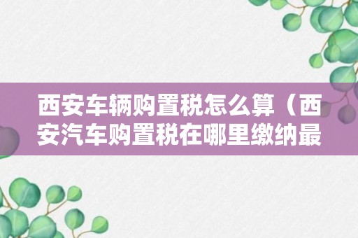 西安车辆购置税怎么算（西安汽车购置税在哪里缴纳最新）