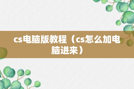 cs电脑版教程（cs怎么加电脑进来）