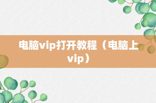 电脑vip打开教程（电脑上vip）