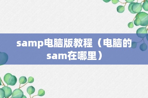 samp电脑版教程（电脑的sam在哪里）