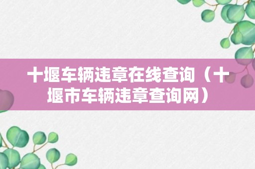 十堰车辆违章在线查询（十堰市车辆违章查询网）