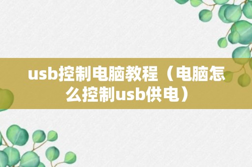 usb控制电脑教程（电脑怎么控制usb供电）