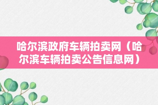 哈尔滨政府车辆拍卖网（哈尔滨车辆拍卖公告信息网）