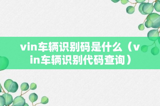 vin车辆识别码是什么（vin车辆识别代码查询）