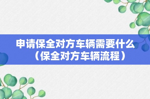 申请保全对方车辆需要什么（保全对方车辆流程）