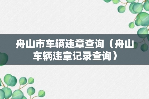 舟山市车辆违章查询（舟山车辆违章记录查询）