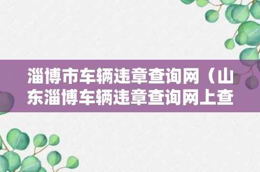 淄博市车辆违章查询网（山东淄博车辆违章查询网上查询）