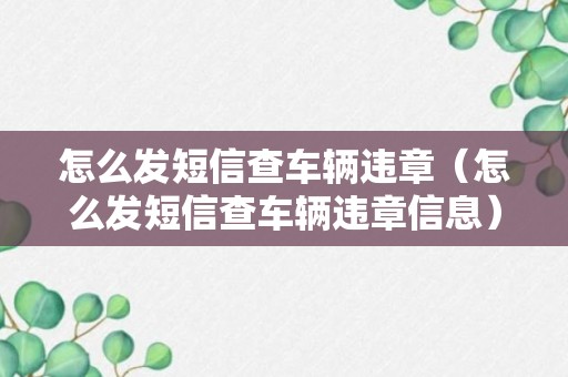 怎么发短信查车辆违章（怎么发短信查车辆违章信息）