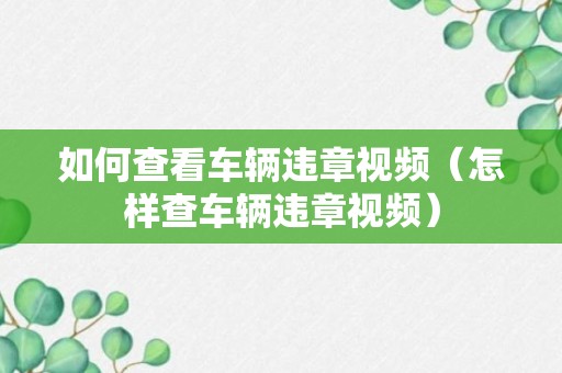 如何查看车辆违章视频（怎样查车辆违章视频）