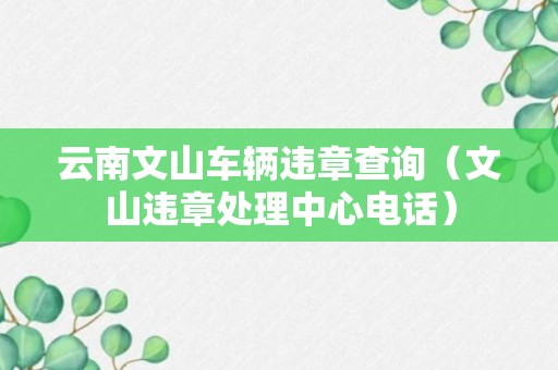 云南文山车辆违章查询（文山违章处理中心电话）