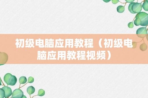 初级电脑应用教程（初级电脑应用教程视频）