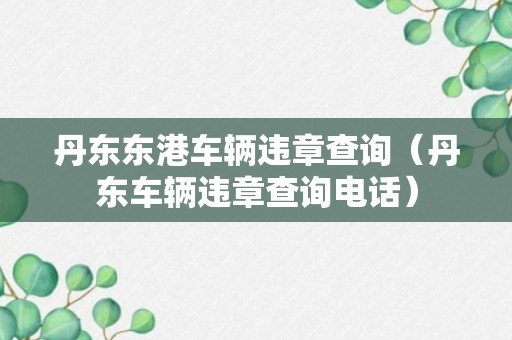 丹东东港车辆违章查询（丹东车辆违章查询电话）