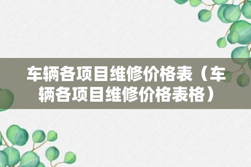 车辆各项目维修价格表（车辆各项目维修价格表格）