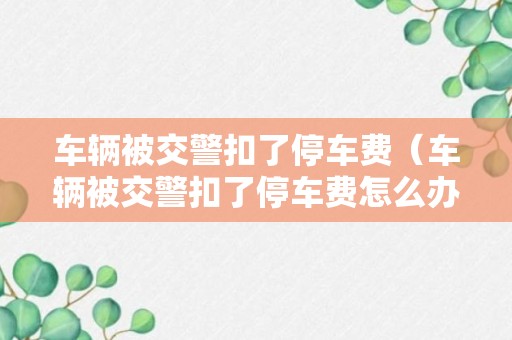 车辆被交警扣了停车费（车辆被交警扣了停车费怎么办）