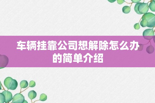 车辆挂靠公司想解除怎么办的简单介绍