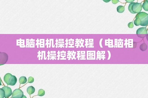 电脑相机操控教程（电脑相机操控教程图解）