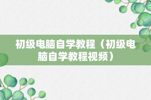 初级电脑自学教程（初级电脑自学教程视频）