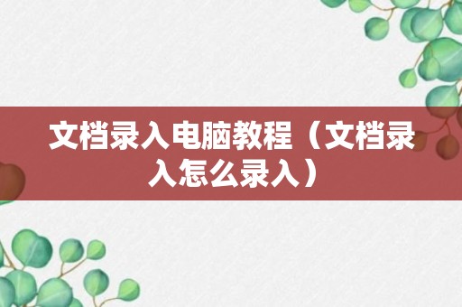 文档录入电脑教程（文档录入怎么录入）