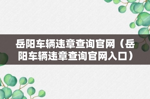 岳阳车辆违章查询官网（岳阳车辆违章查询官网入口）