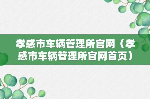 孝感市车辆管理所官网（孝感市车辆管理所官网首页）